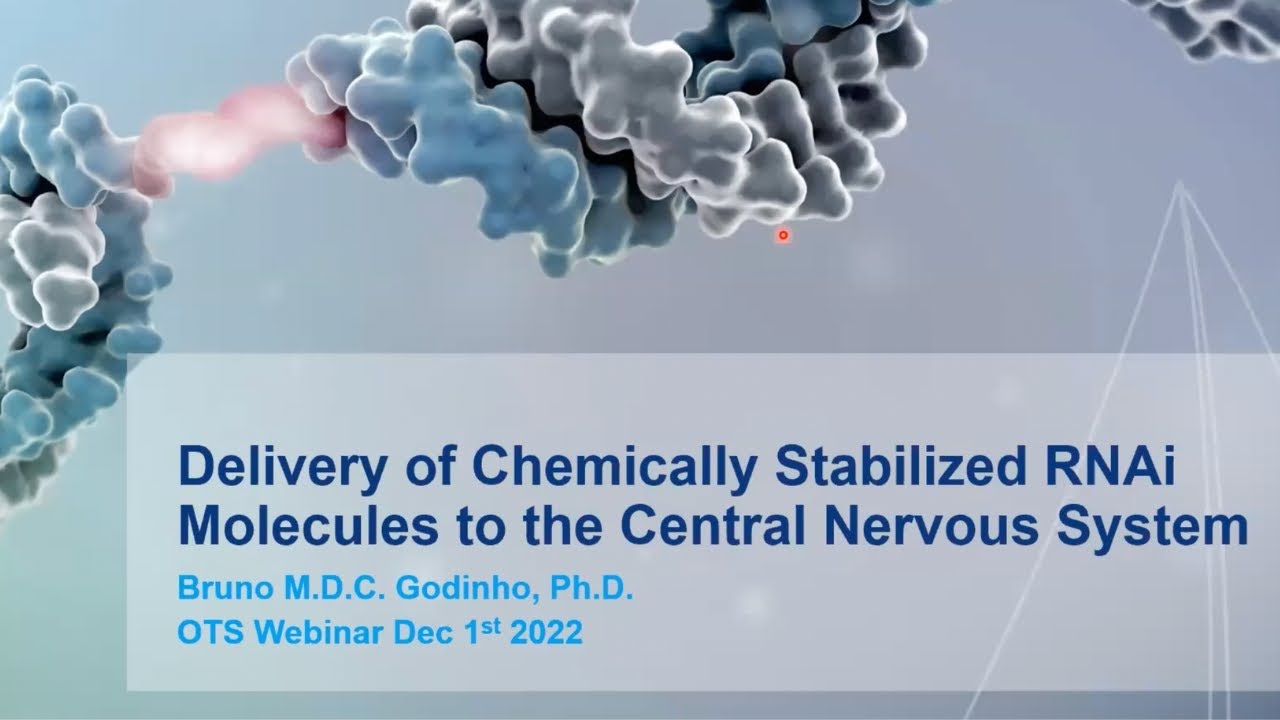 Delivery of Chemically Stabilized RNAi molecules to the Central Nervous System