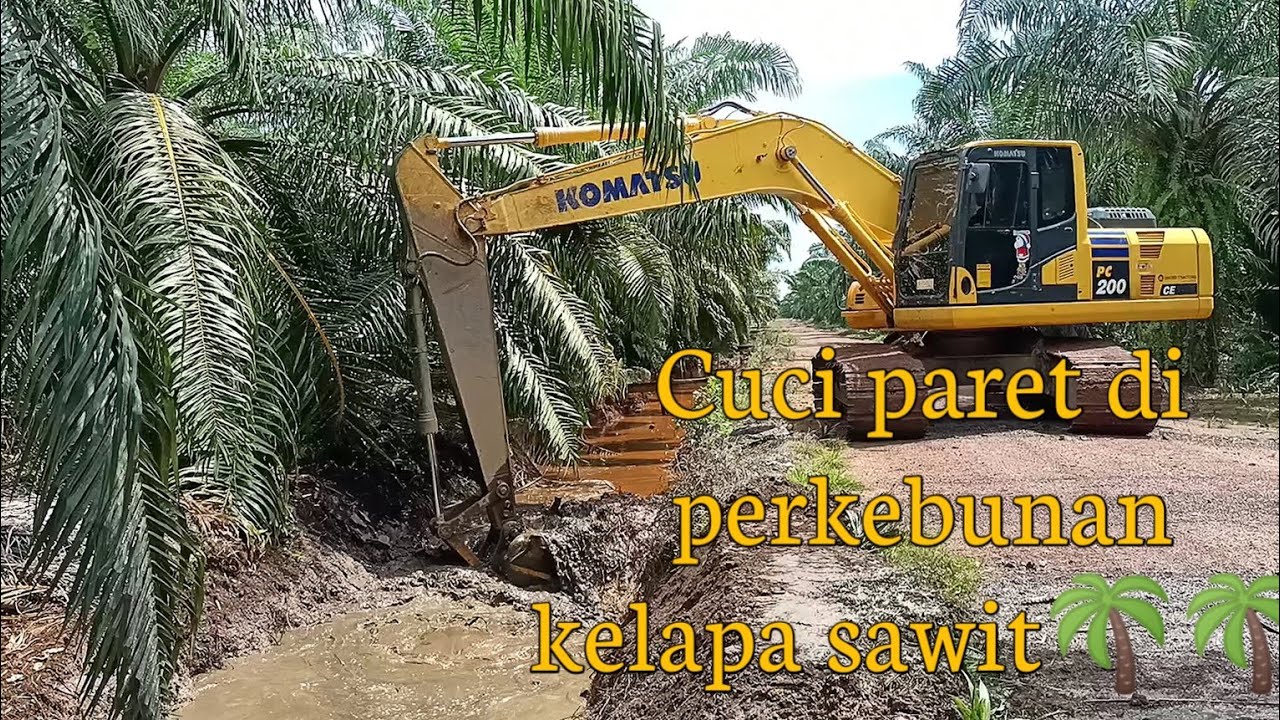 Cuci paret di kebun sawit || Excavator Komatsu PC 200!!!