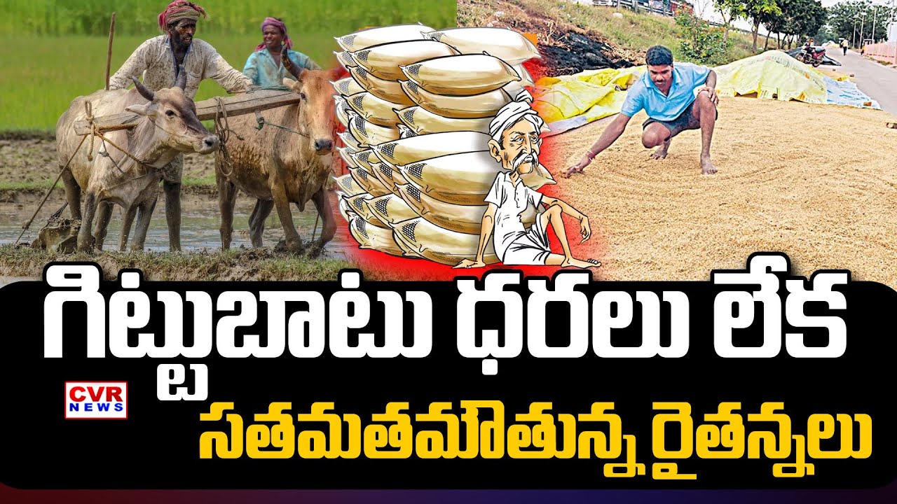 గిట్టుబాటు ధరలు లేక సతమతమౌతున్న రైతన్నలు | Raithe Raju | CVR NEWS