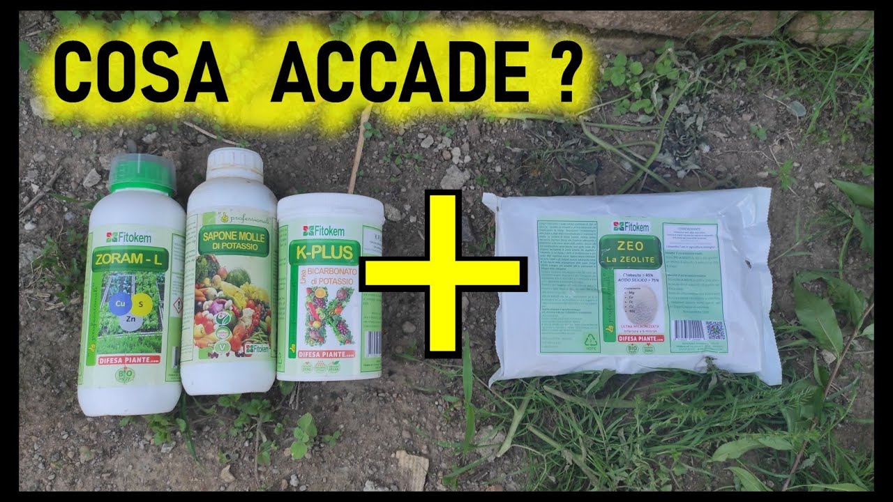 Posso unire alla zeolite altri prodotti?