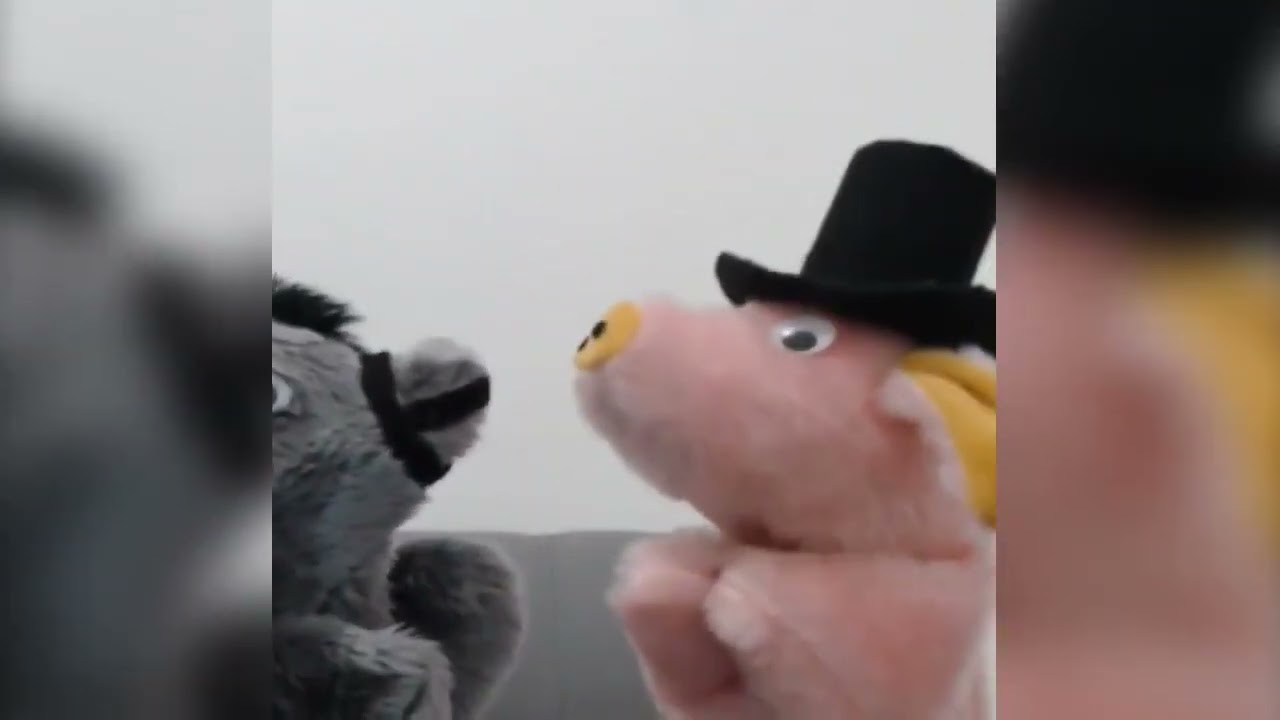 Ej&eacute;rcito Peludito y Cerdonio Fif&iacute; (Video del recuerdo)