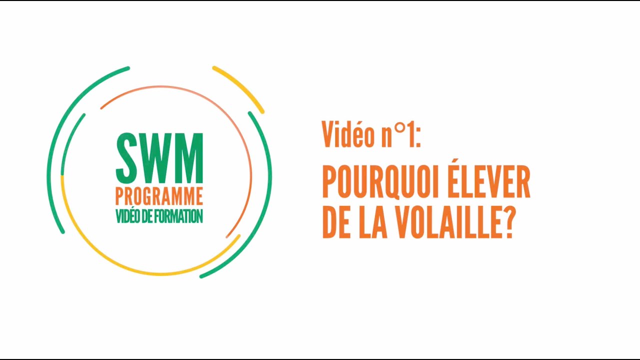 Vidéo de formation #1 – Pourquoi élever de la volaille? - #SWMProgramme