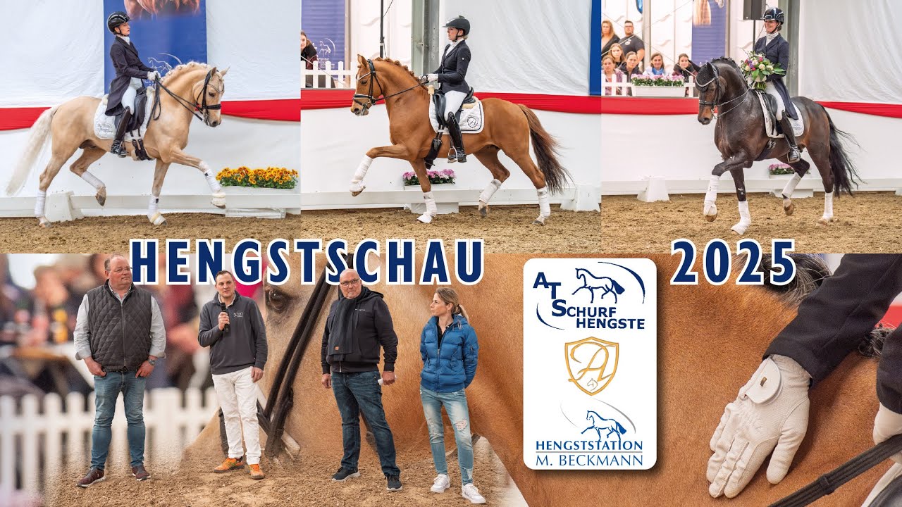 Hengstschau AT Schurf, 29. März 2025