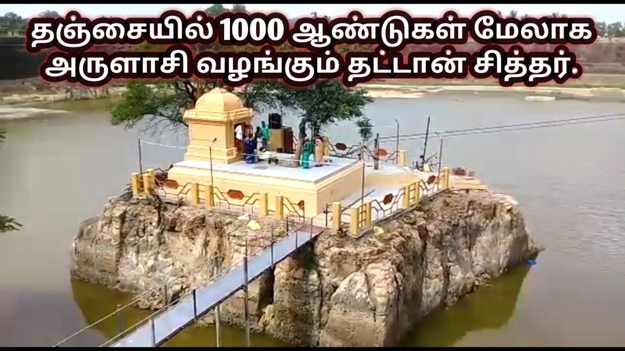 தஞ்சையில் 1000 ஆண்டுகள் மேலாக அருளாசி வழங்கும் தட்டான் சித்தர்...