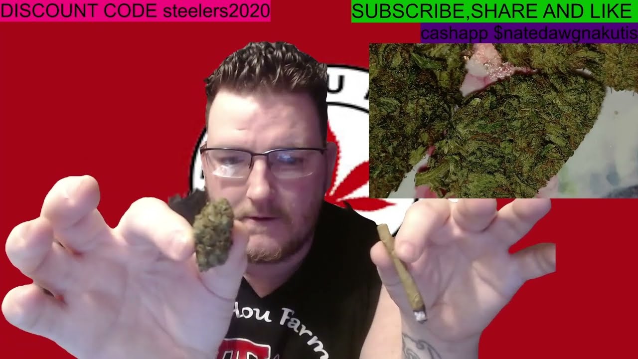 SOUR BRULEE D8 WITH EFFECTS ELLI HOU FARMS