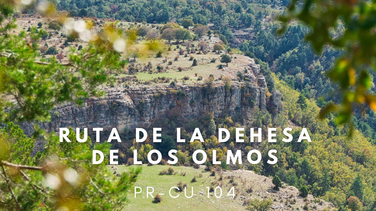Ruta de la Dehesa de los Olmos