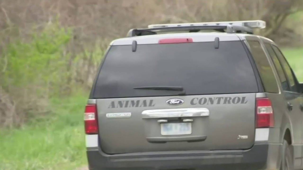 Mail carrier in surgery after dog attack