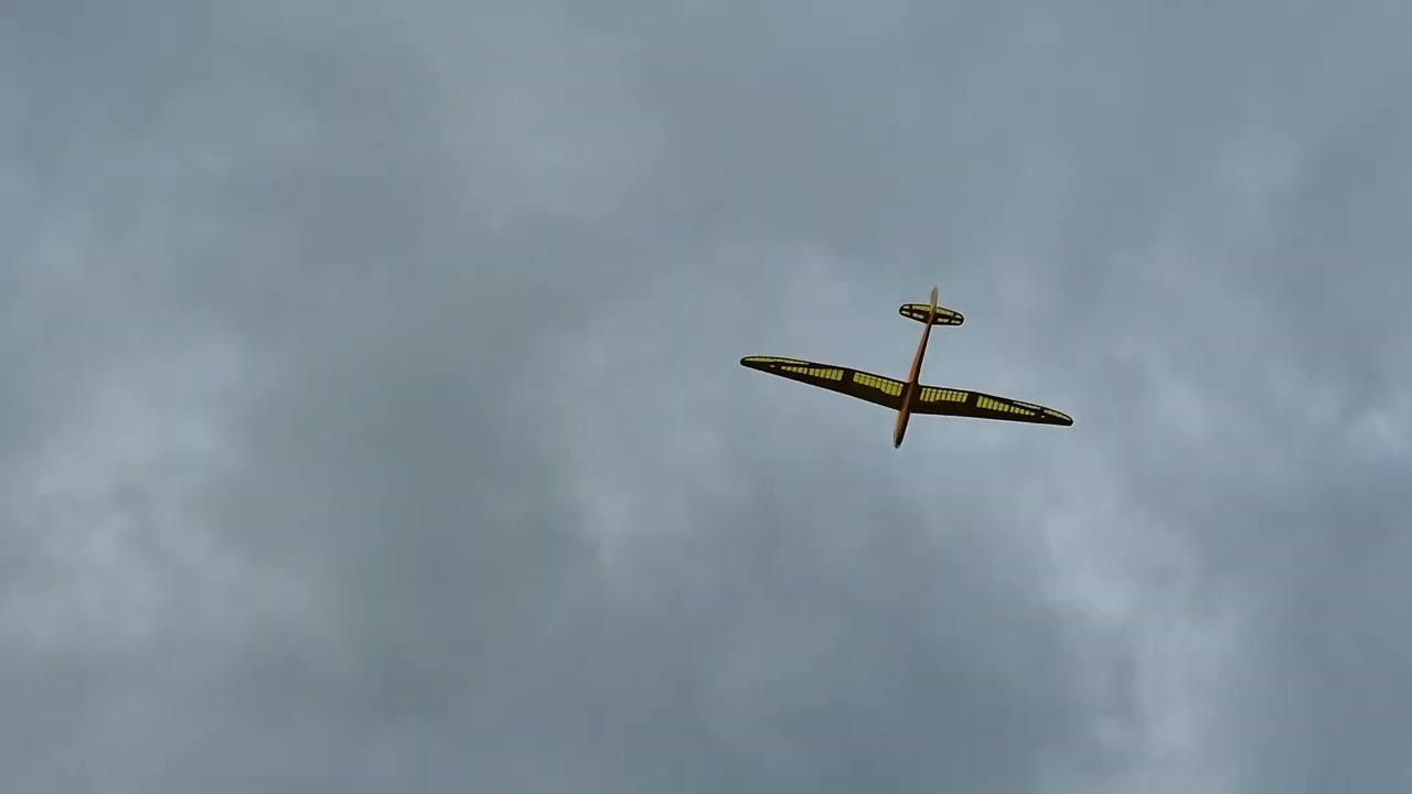 Musger Mg-19B  #adlersuedeifel #oberweis #rcplane