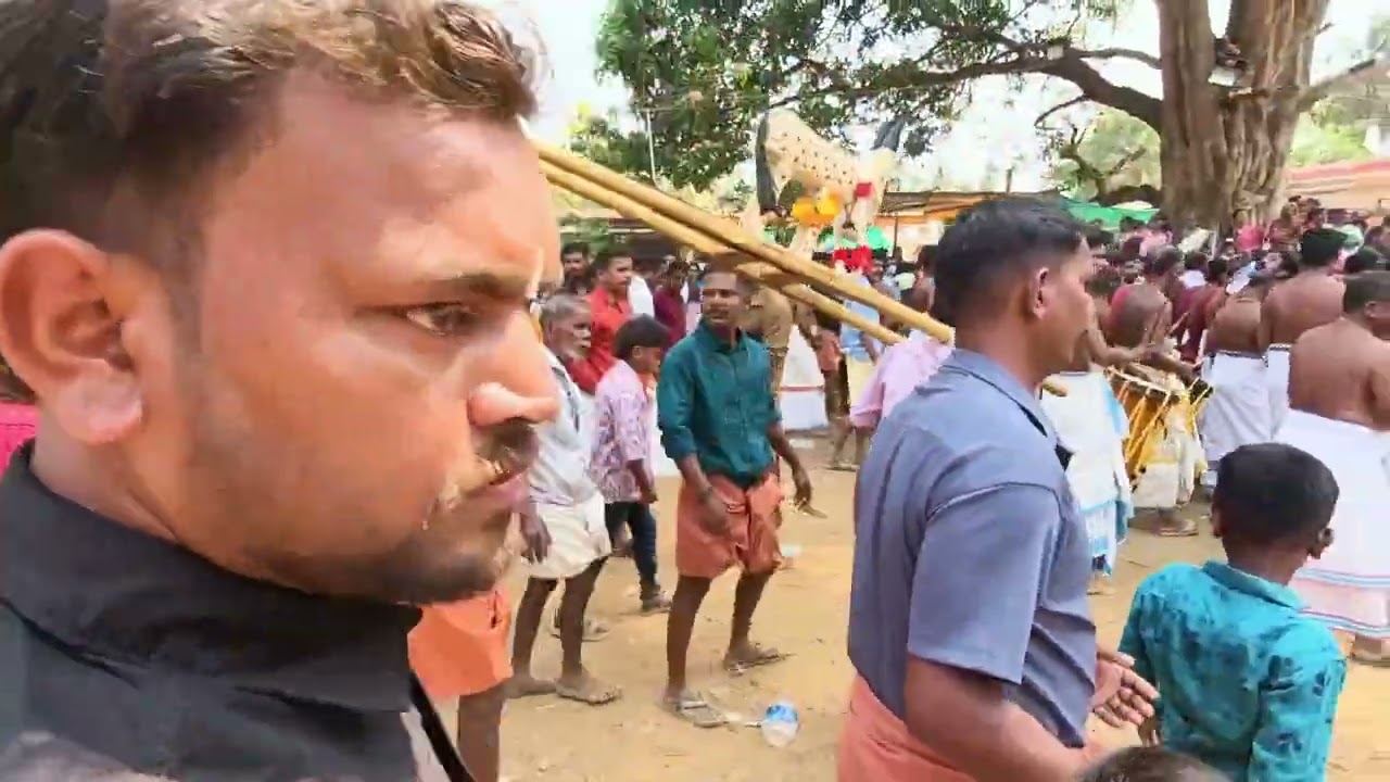 ഇതാണ് മക്കളേ കാളകളി മച്ചാട് മാമാങ്കം 2026