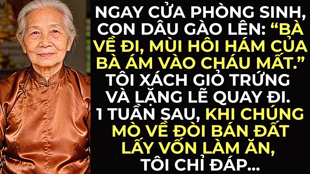 Ngay cửa phòng sinh, con dâu gào lên: “Bà về đi, mùi hôi hám của bà ám vào cháu mất…”