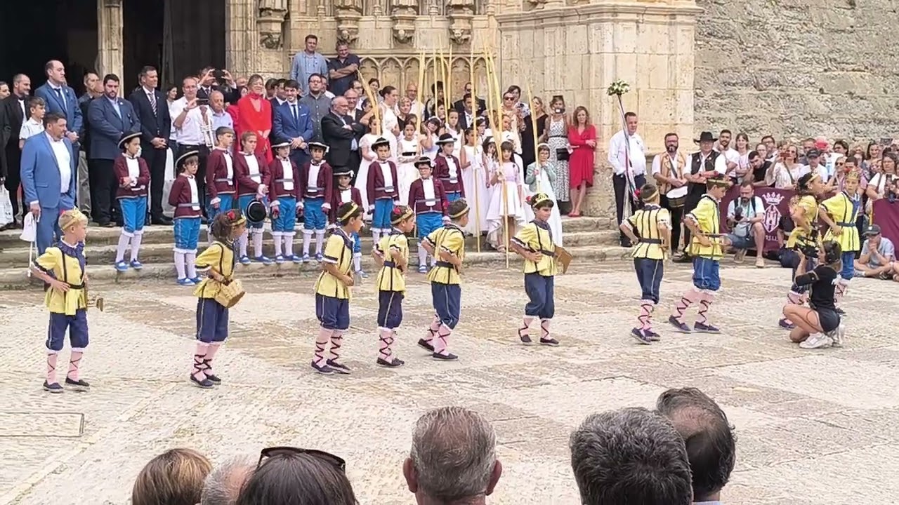 DANSA ARTS I OFICIS