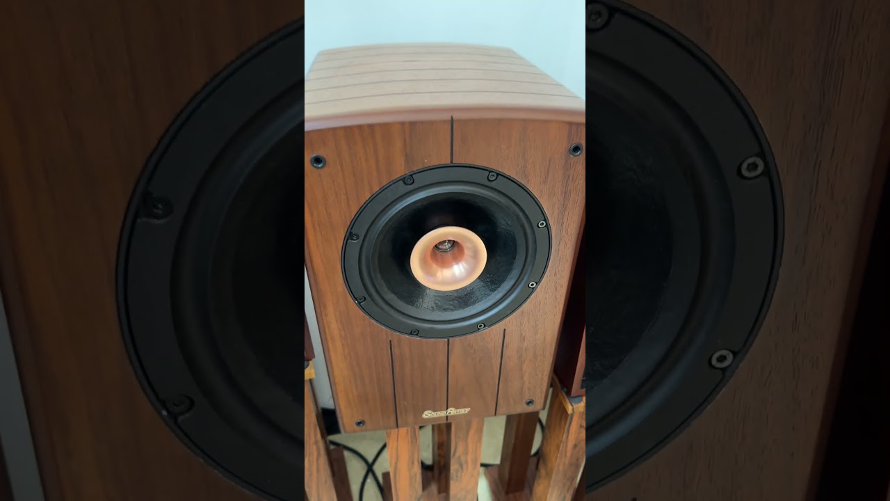 Willsenton R8  with SoundArtist SC8B speakers.