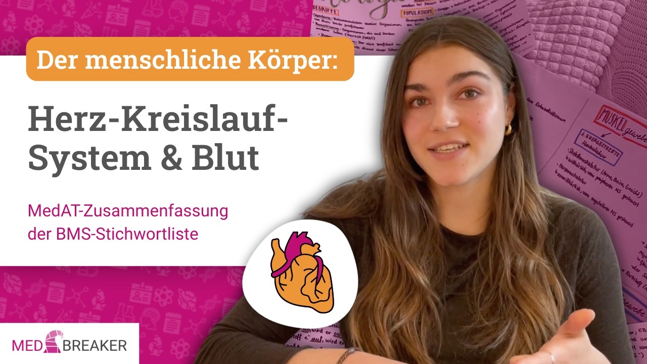 Herz-Kreislauf-System & Blut - Der menschliche Körper | MedAT-Zusammenfassung der BMS-Stichwortliste