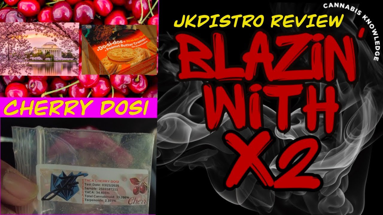 Cherry Dosi JK Distro BLACK LABEL 🌬️ | Perfect 10 on the Blaze Meter?! #jkdistro