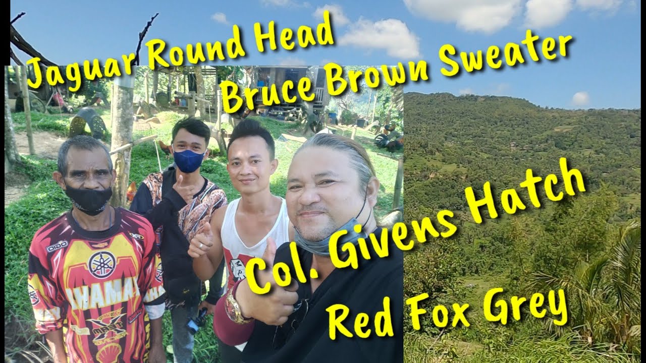 EP195 part 2: in search for a farm to visit
