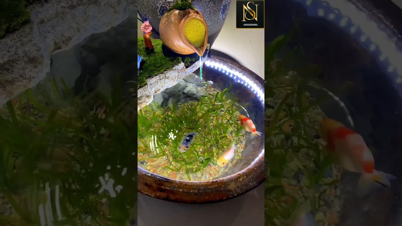 Building A Giant Planted Fish Tank! Step by step Aquarium setup