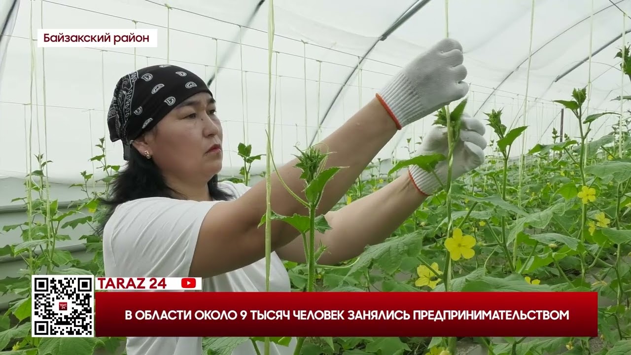 24news 06.02.2026