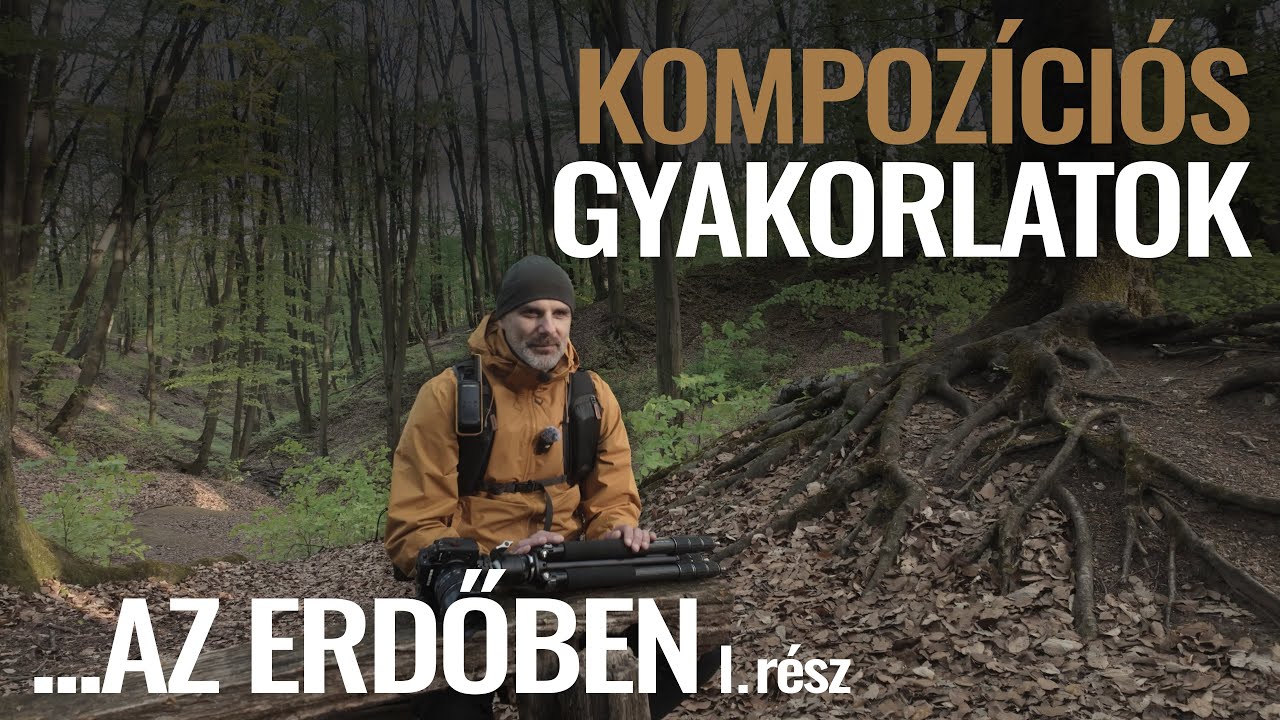Kompozíciós gyakorlatok az erdőben I. rész // S06E17 (#099)
