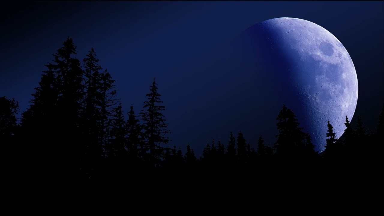 Eine Nacht im April - Reflektor
