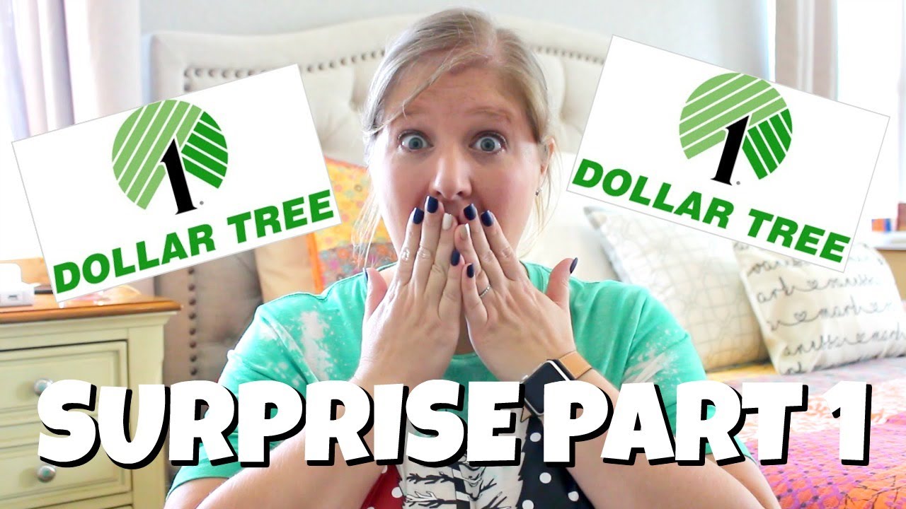 MASSIVE DOLLAR TREE HAUL PART ONE