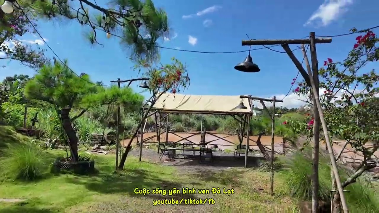 Quán cafe view suối lớn tuyệt đẹp ở ven Đà Lạt #đàlạt #viewsuối #cafeviewđẹp