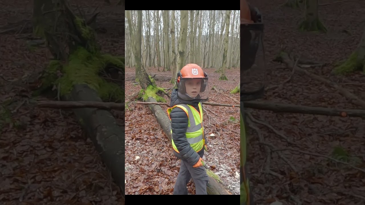 HOW TO FELL A SMALL TREE - Teaching my son - @husqvarna Chainsaw #treefelling #logging #howto