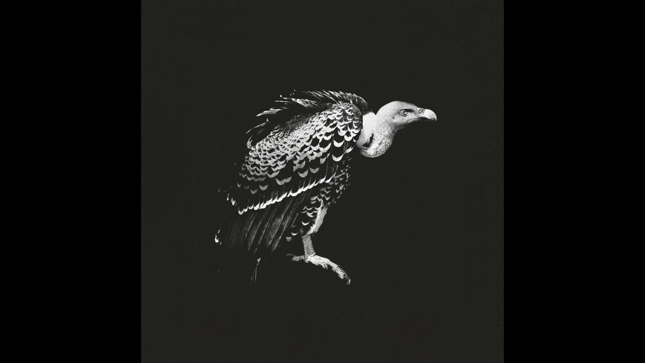 Viels & Pyramidal Decode - Moto Ondulatorio [MORD062]