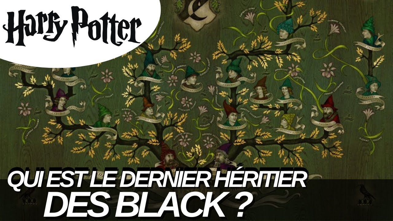 QUI EST LE DERNIER HÉRITIER DE LA FAMILLE BLACK ?