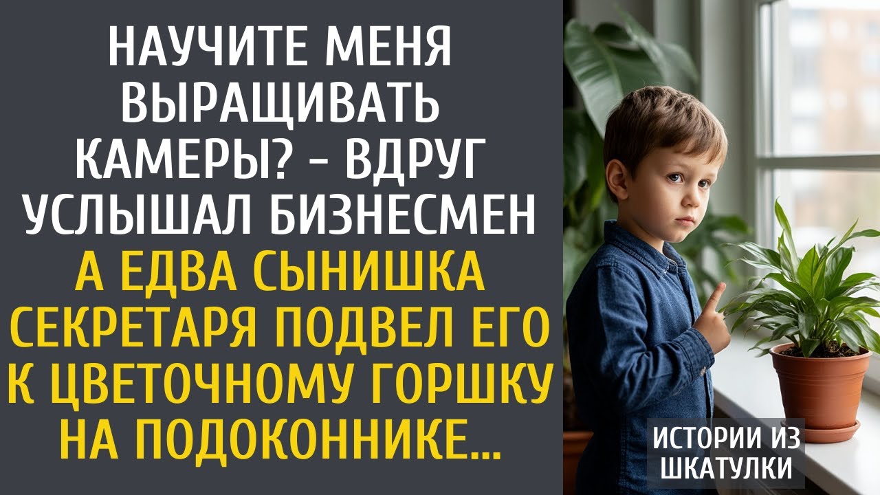 Научите меня выращивать камеры? - вдруг услышал бизнесмен… А едва мальчик подвел его к подоконнику…