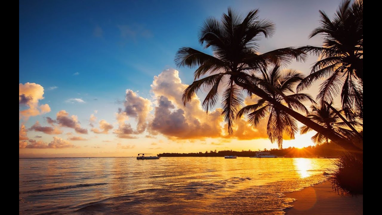 Canal 444 Oficial — Ritmo do Mar 🌊🎶｜Sons de Calma e Harmonia 2/22