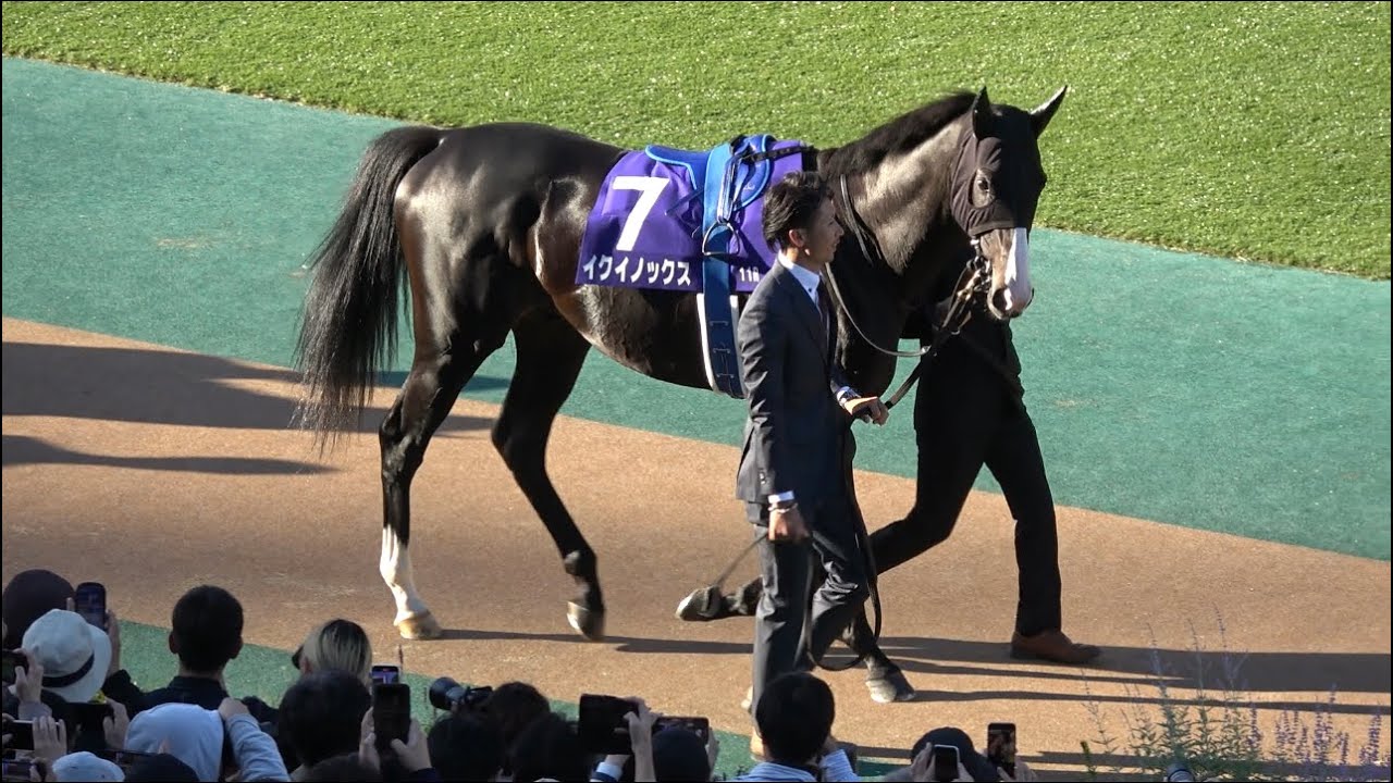 【天皇賞秋2023】イクイノックス パドックで圧倒的な肉体美を披露【現地映像】