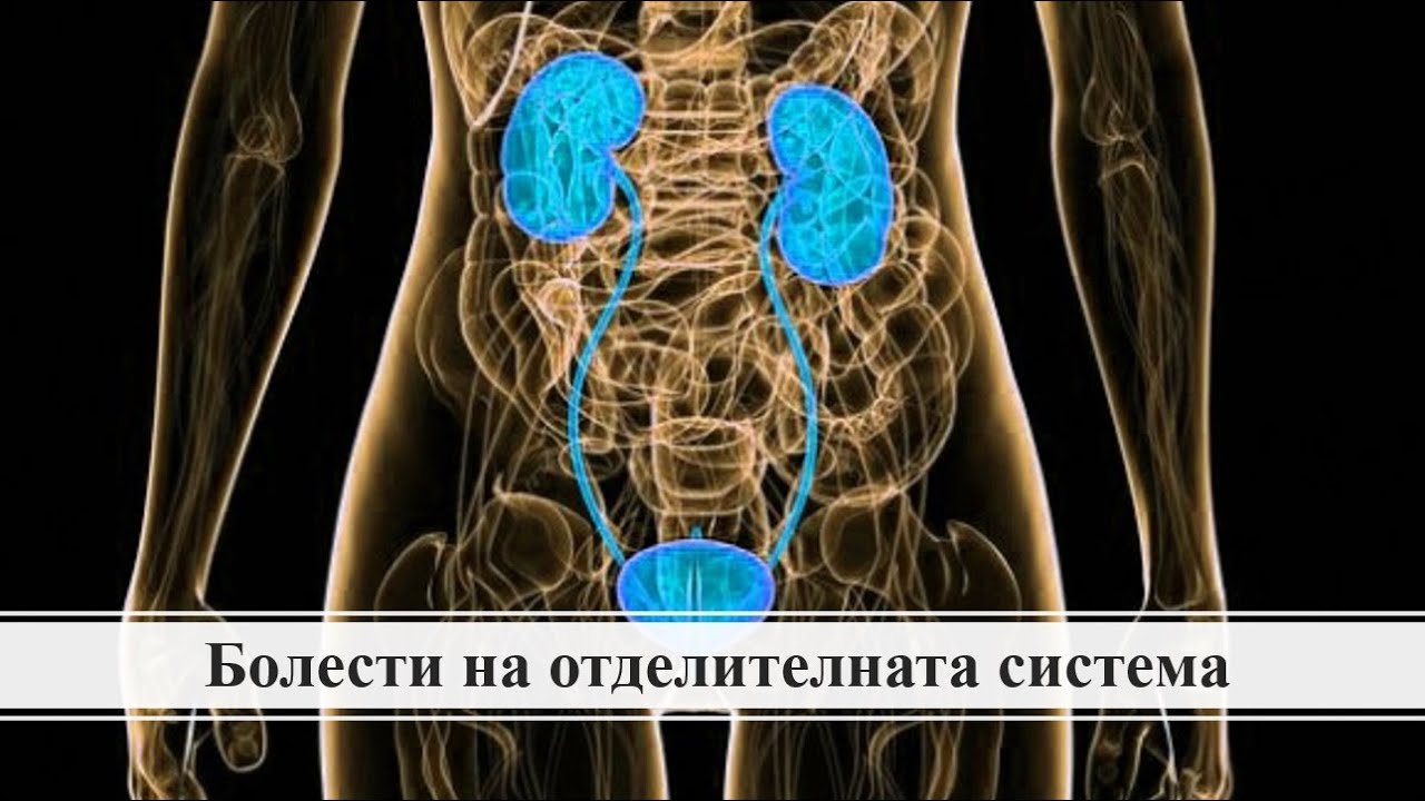 Урок - Болести на отделителната система