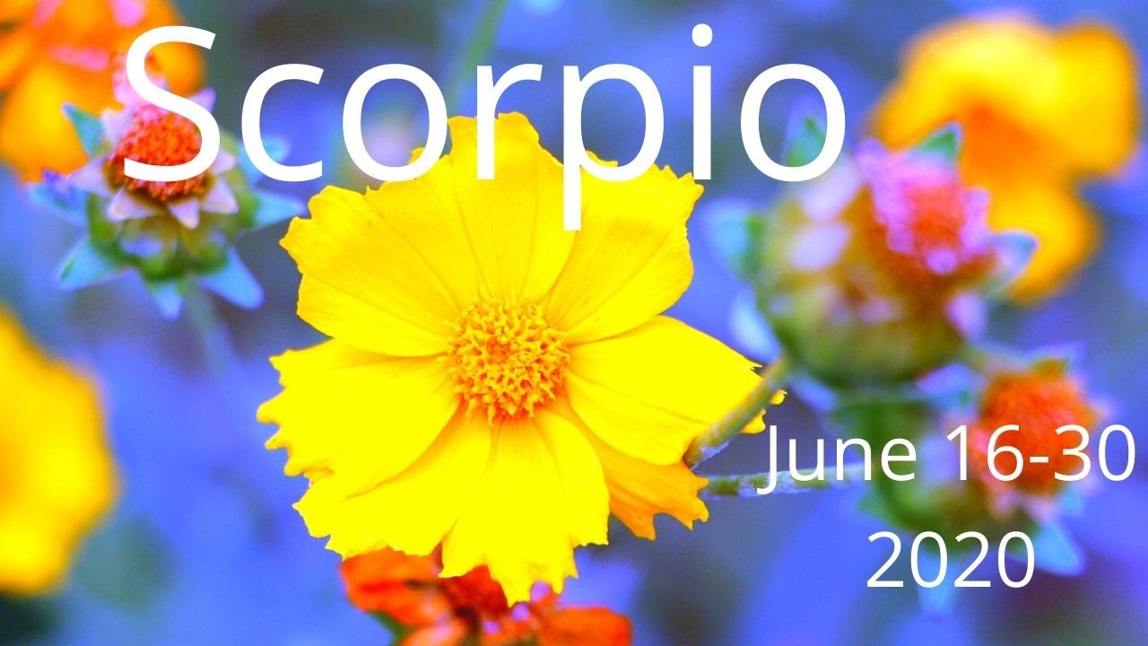 Scorpio, The Trauma Has Ended || Psychic Empath Tarot Reading