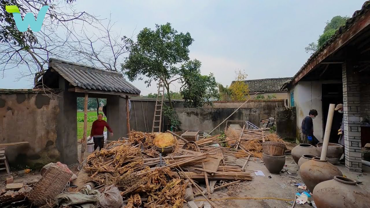 Refusing the salary of $5000 , he returned his hometown to renovate the old house and grow rice