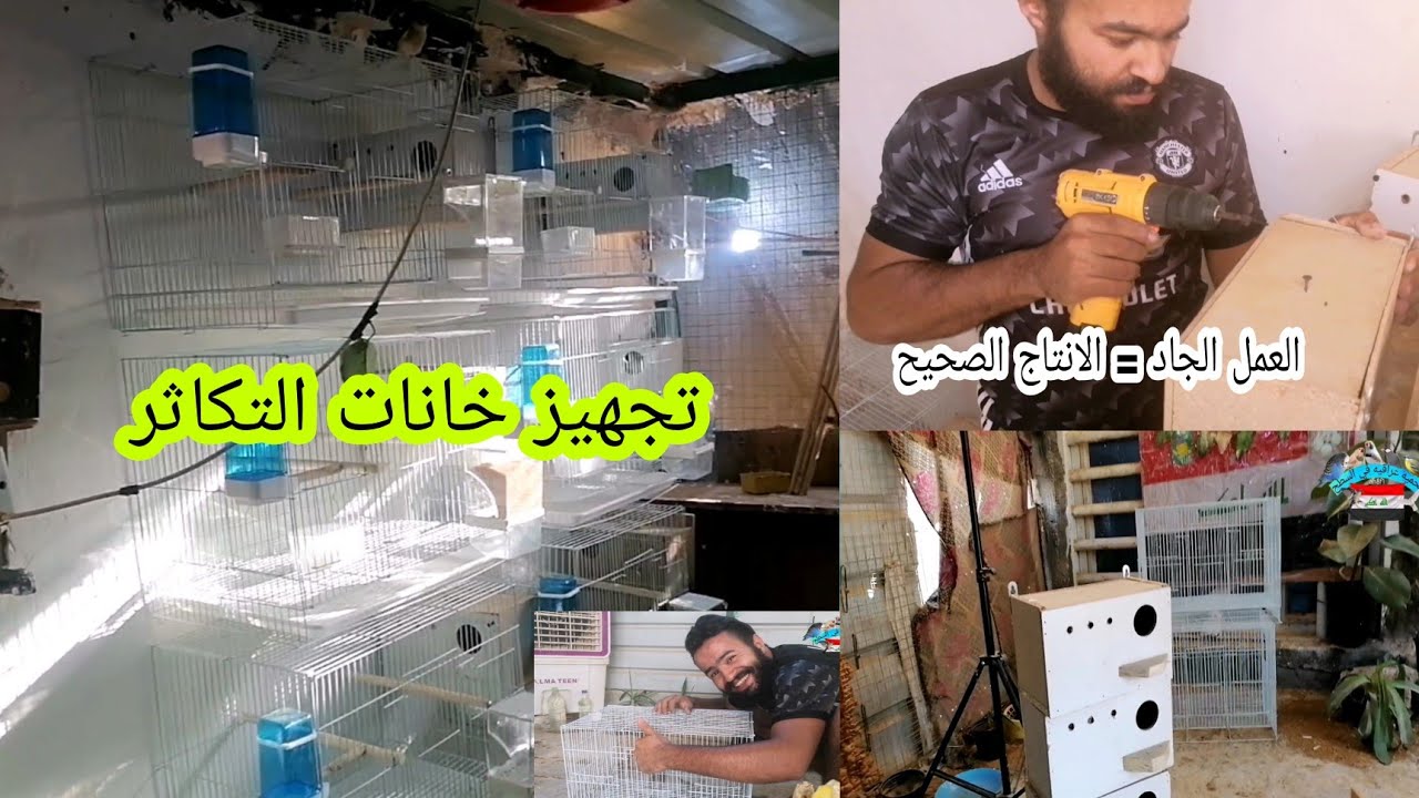 اشترينا خانات للبادجي (طيور الحب) #تجهيز_الموسم (4)