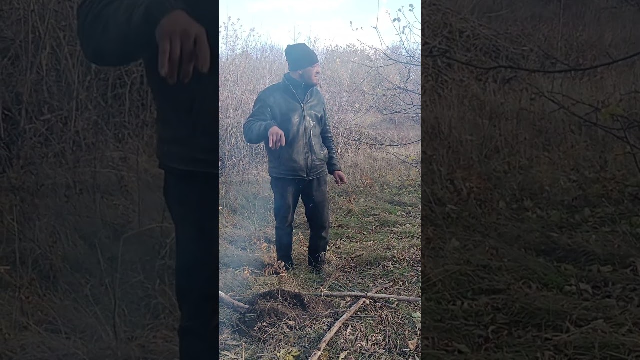 #топ #comedy #прикол #юмор #зверь #humor #кино #панк