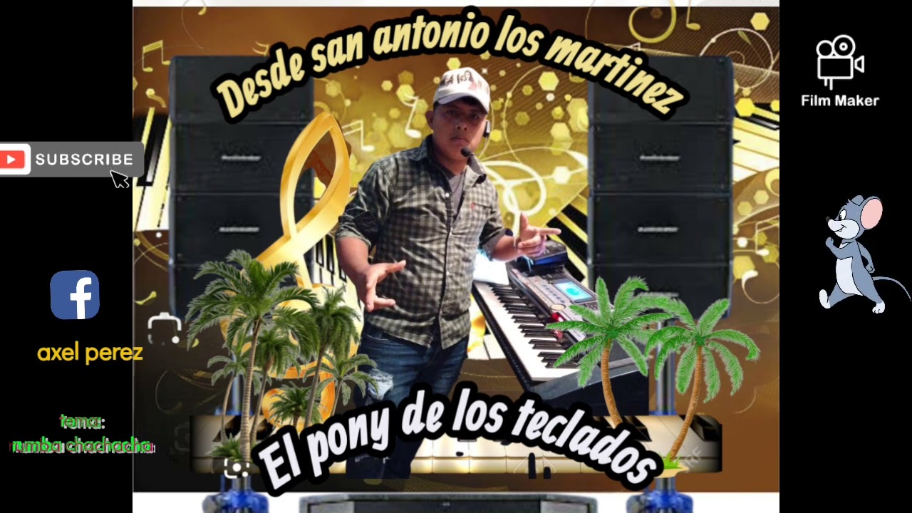 El pony de los teclados regreso ami tierra