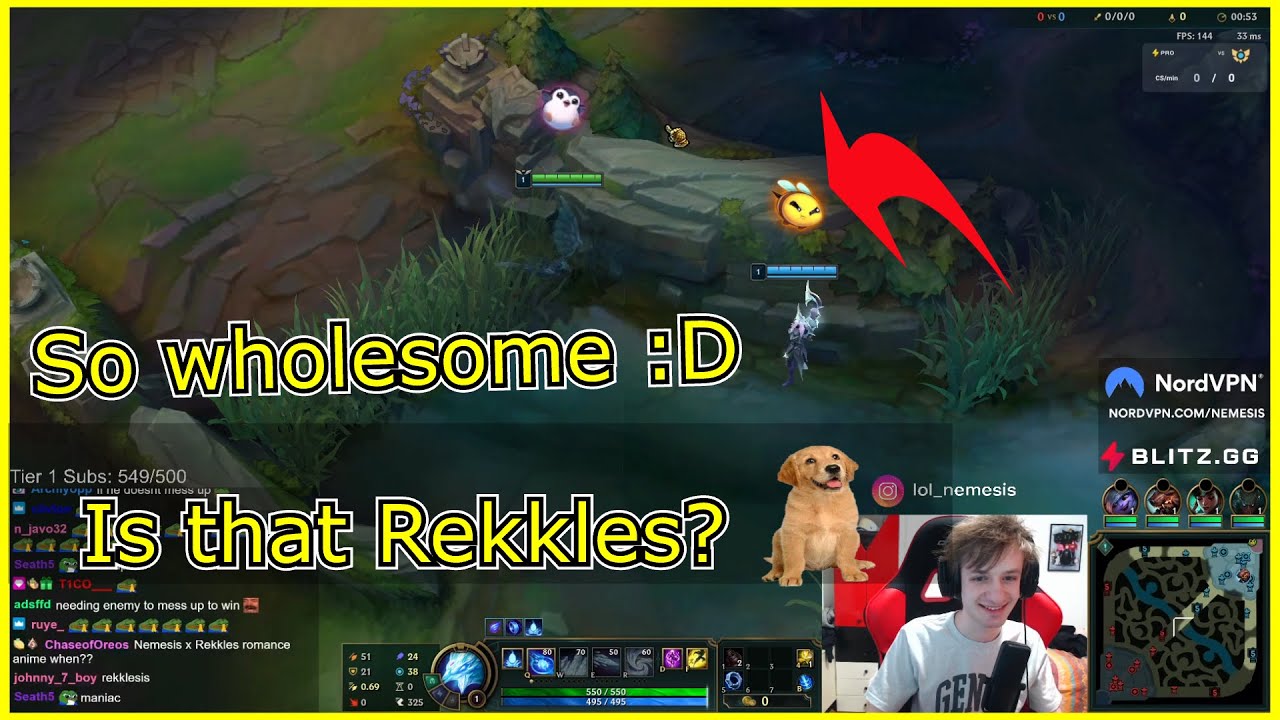 Nemesis and LS wholesome moment with emotes ft. Rekkles