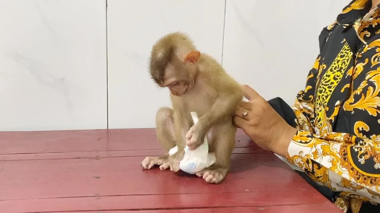Spoiled DAM Try Take Off Diaper During Mom Change New One For Him