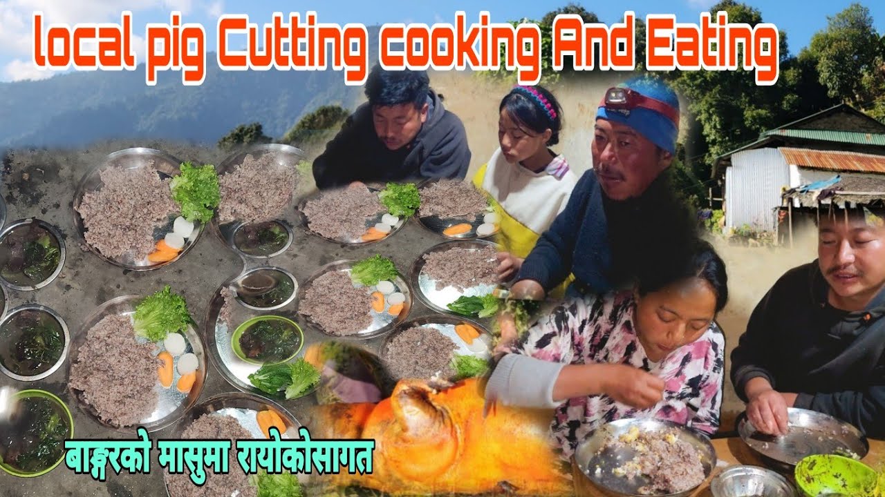 Local Pig cutting cooking  and eating In village styleगाउँमा बाङ्गुरकाटेर खिचिरेभातसङ @NisanaRai100 