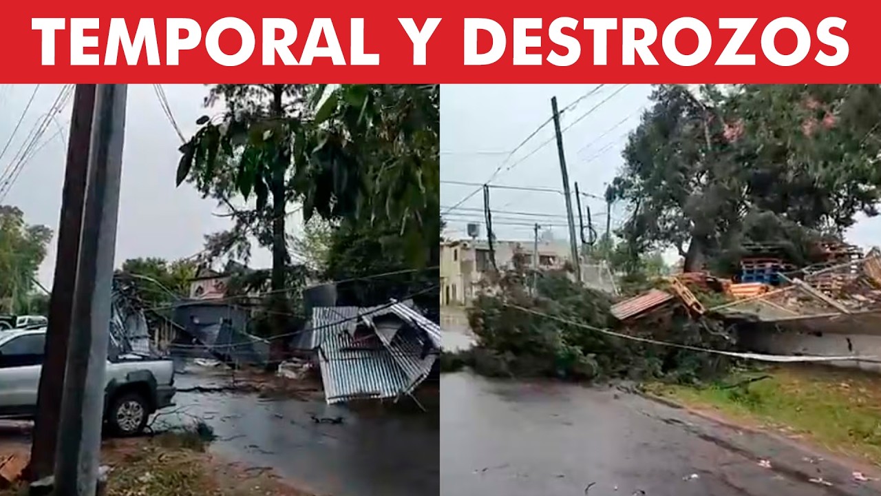 TELENOCHE ¡EN VIVO!