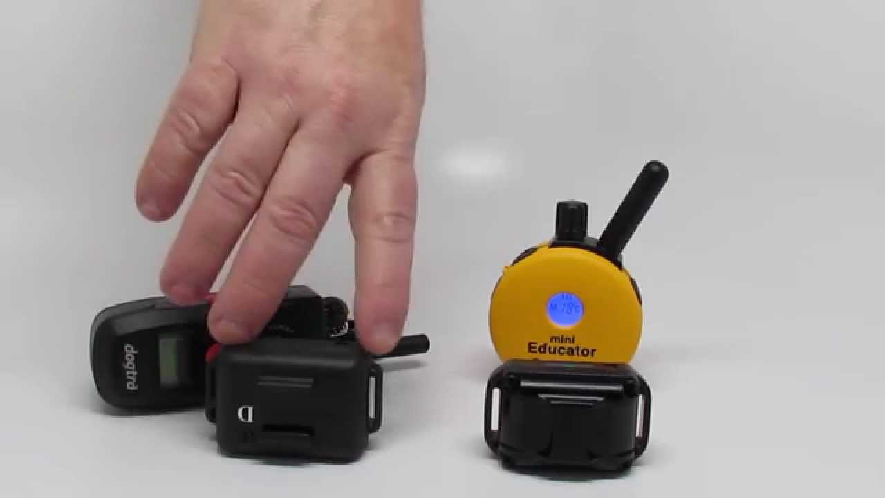 Dogtra 280 VS E-Collar Technologies Mini Educator 300TS