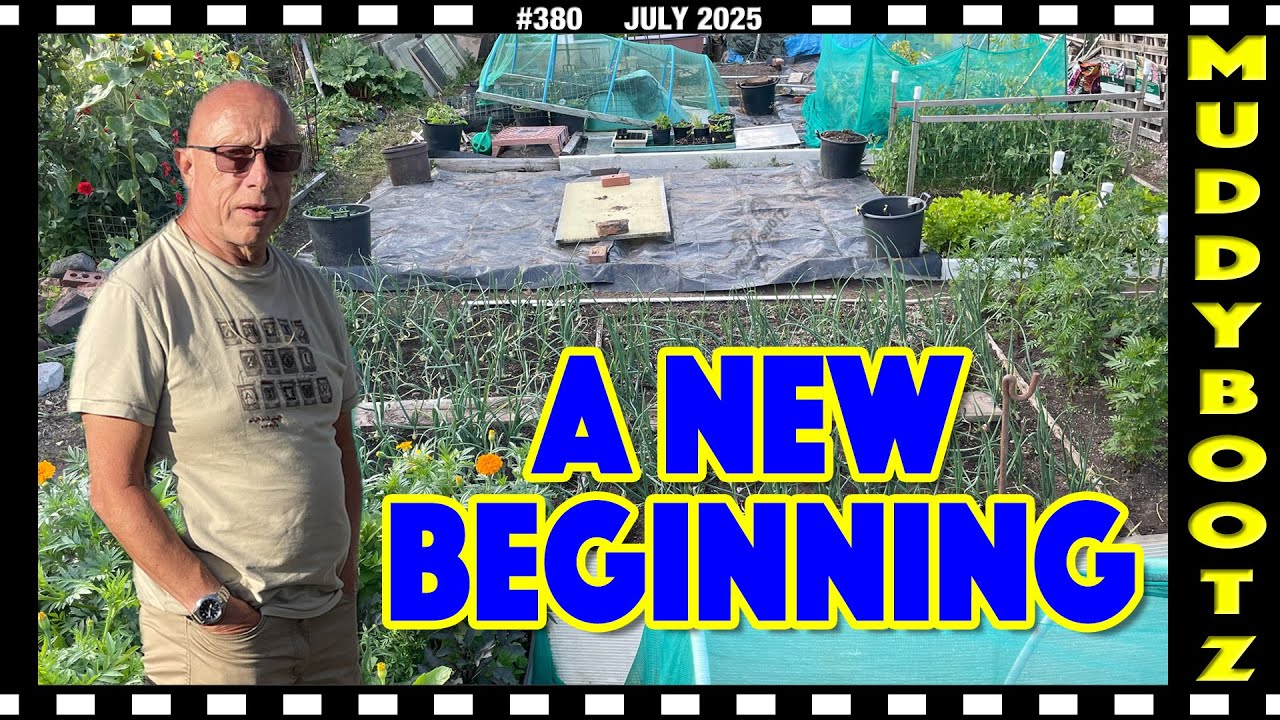 🌻380 🌻  A NEW BEGINNING 🌻 RAISED BEDS 🌻