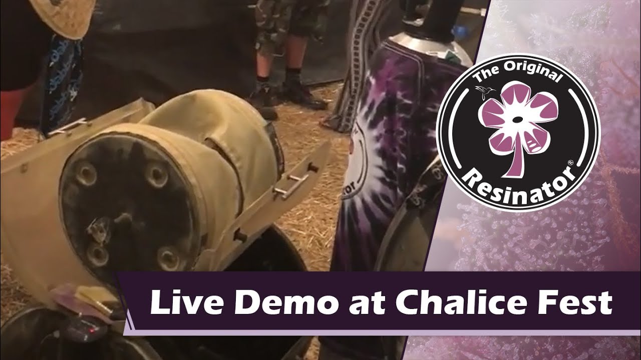 Live Sub-zero CO2 Resin Extraction Demo at Chalice Festival 2017 - The Original Resinator