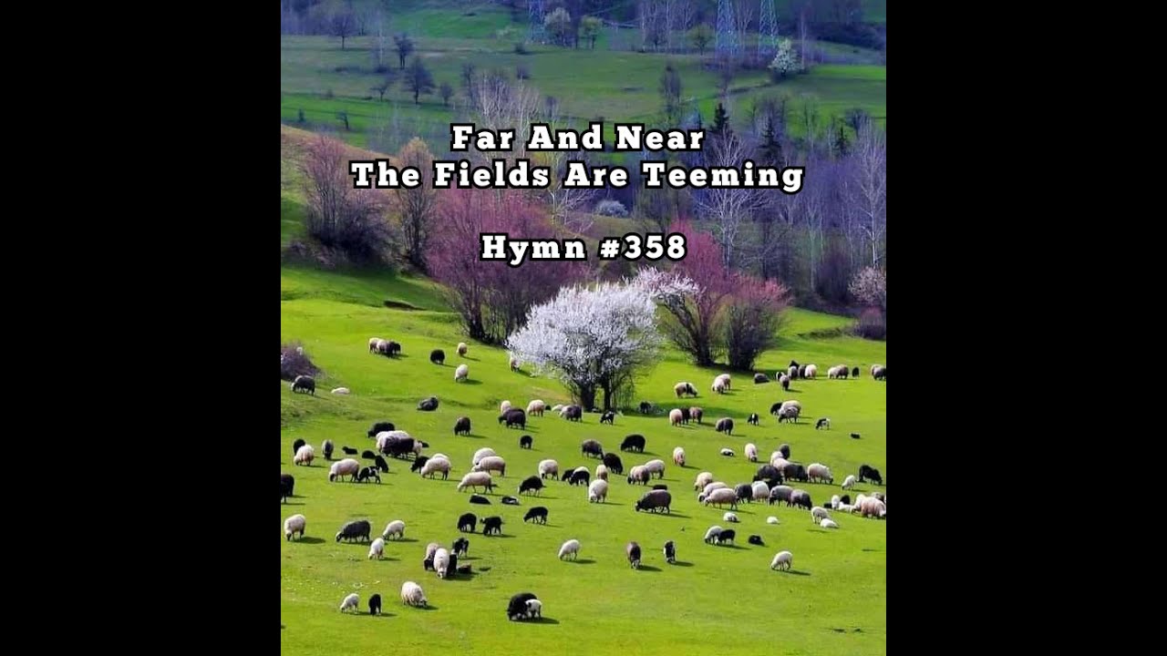 Far and near the fields are teeming | Hymn 358 | Maxwell
