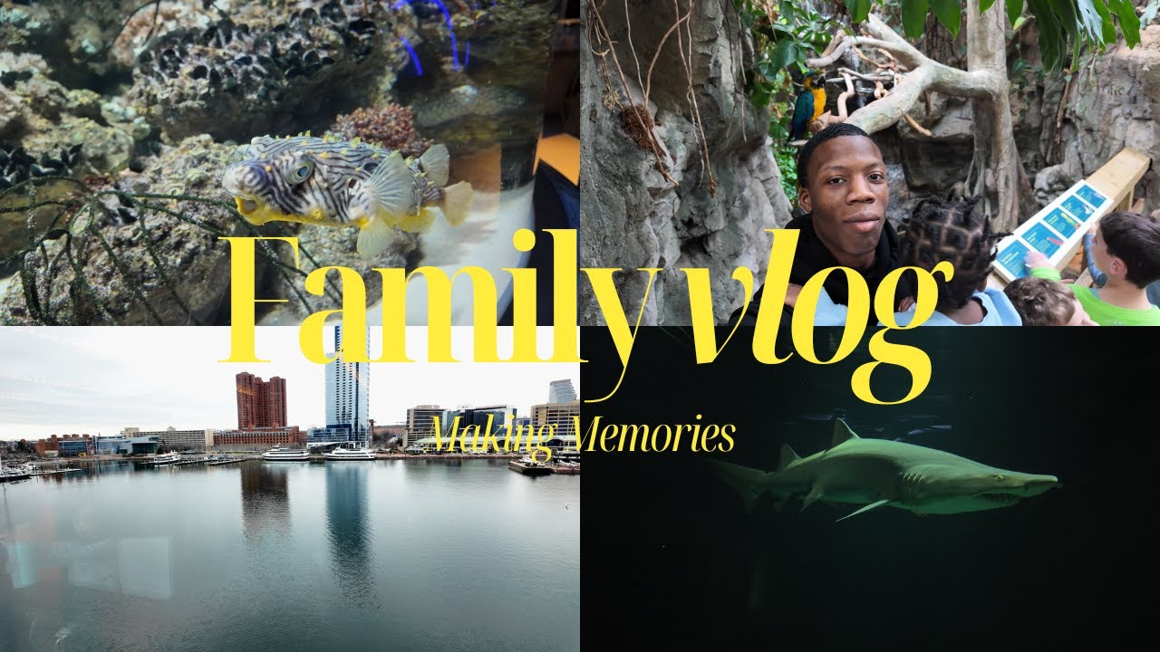 Family Vlog | Making Memories | Our Daughters First Aquarium visit