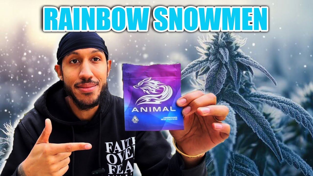 Rainbow Snowmen Strain Review 🌈❄️ | Animal Brand Breakdown
