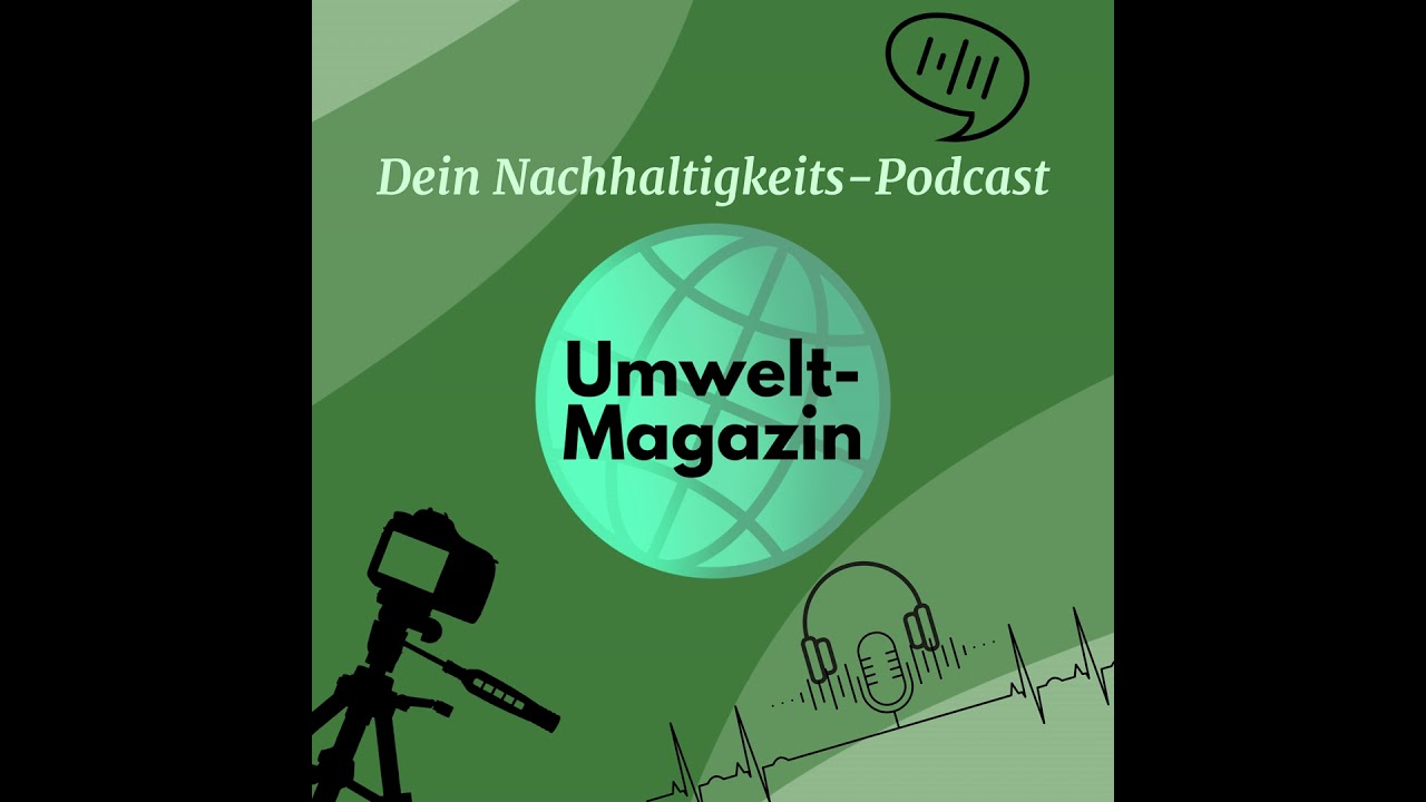 Sinn und Unsinn von Wasserstoff | Professor Ulrich Ulmer im Interview