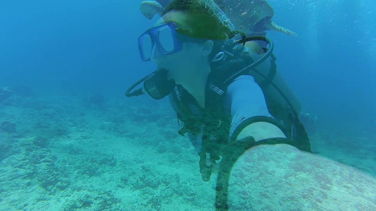 Hawaii Diving Experience with Reef Pirate Diving