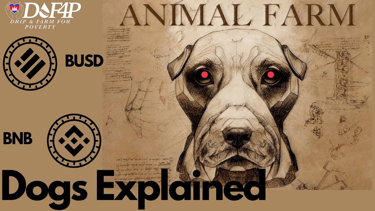 Drip Network Animal Farm dogs explained for beginners
